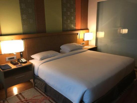 Hotel The Infinity Near Delhi Airport Új-Delhi Kültér fotó